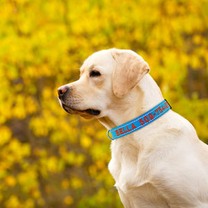 PETSRKINGS™ Personalized Reflective Dog Collar - Pets R Kings