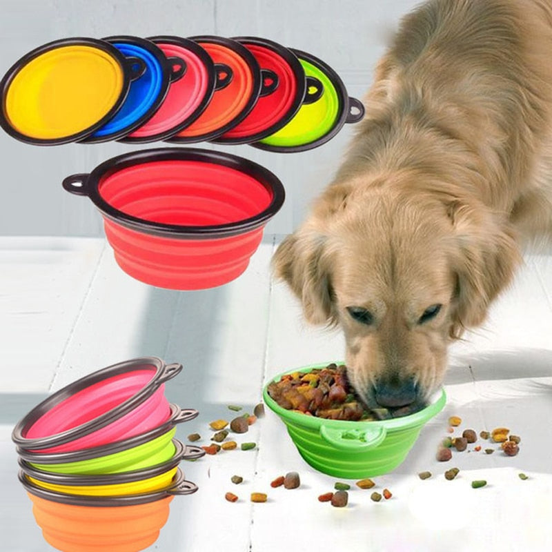 Silicone dog bowl food container - Pets R Kings